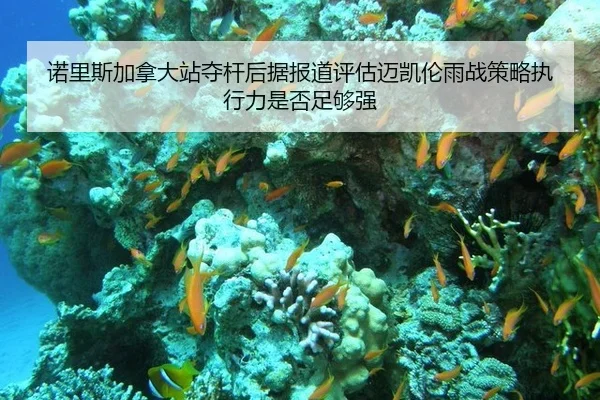 nuo-li-si-jia-na-da-zhan-duo-gan-hou-ju-bao-dao-ping-gu-mai-kai-lun-yu-zhan-ce-lve-zhi-xing-li-shi-fou-zu-gou-qiang-2-487.jpg