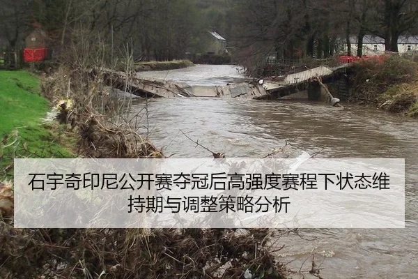 石宇奇印尼公开赛夺冠后高强度赛程下状态维持期与调整策略分析