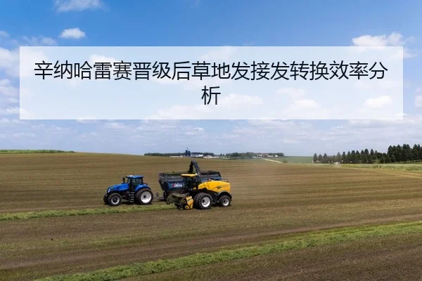 辛纳哈雷赛晋级后草地发接发转换效率分析